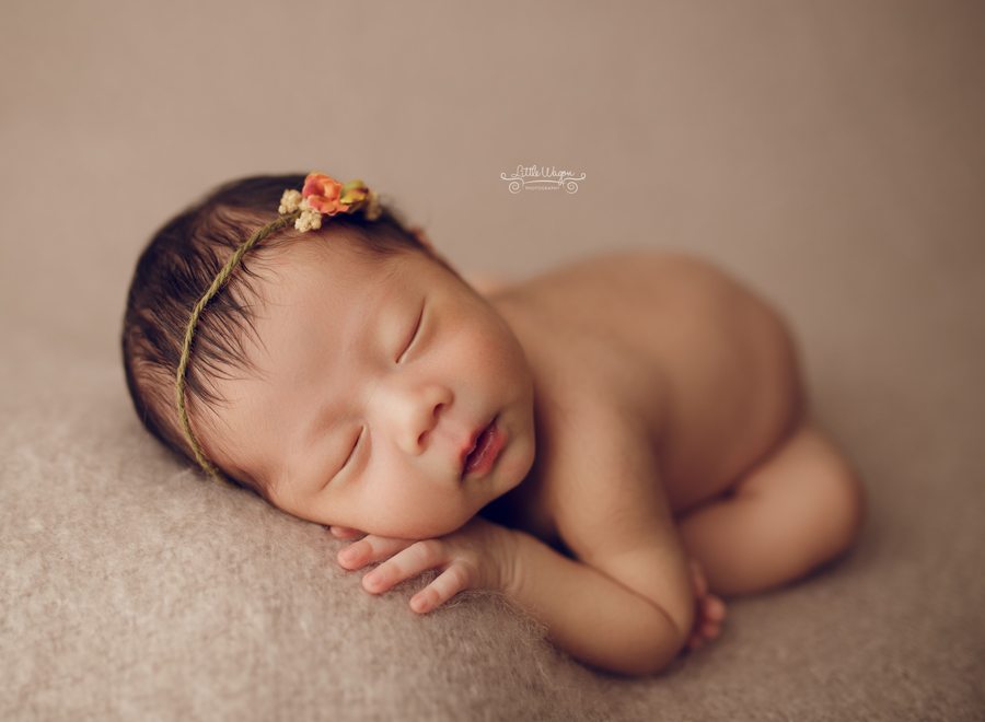 newborn photographer Ottawa, newborn photographers