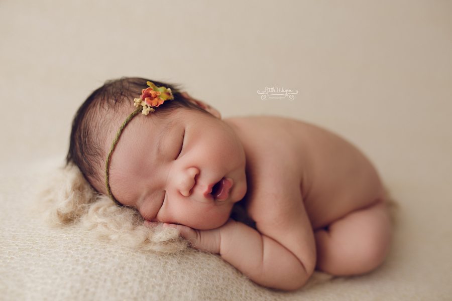 newborn photography Ottawa