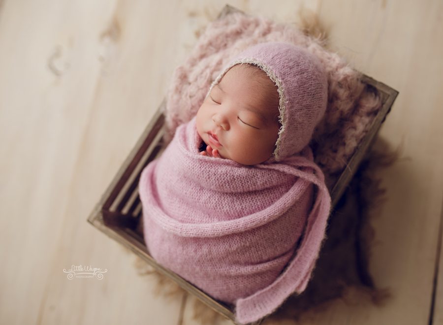 newborn photography