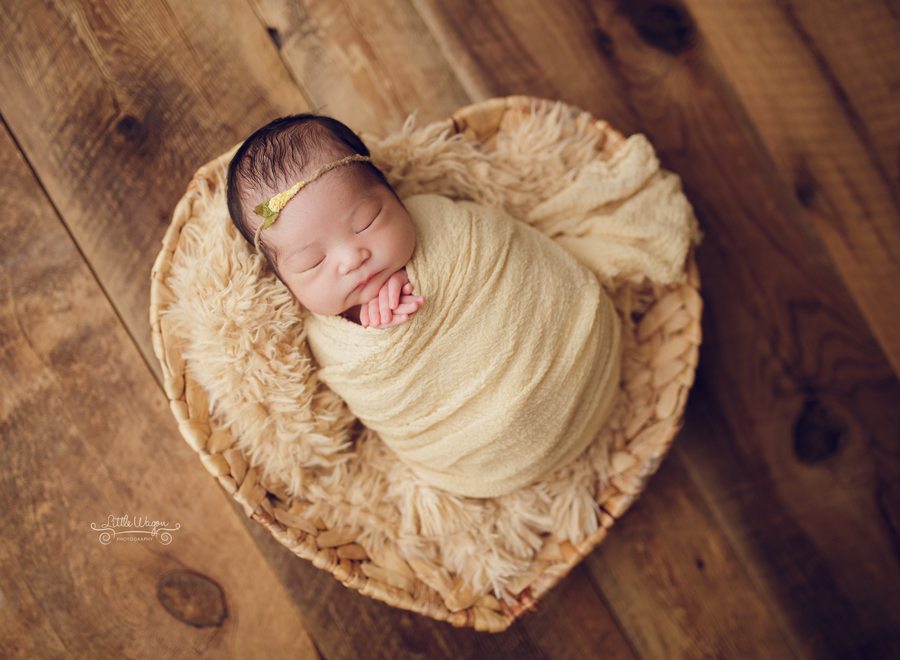 newborn photography Ottawa