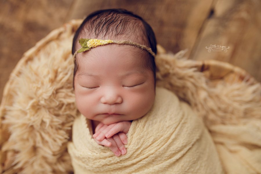 newborn photography Ottawa, ottawa newborn photographer