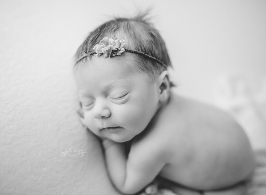 newborn photography ottawa, ottawa newborn photographers