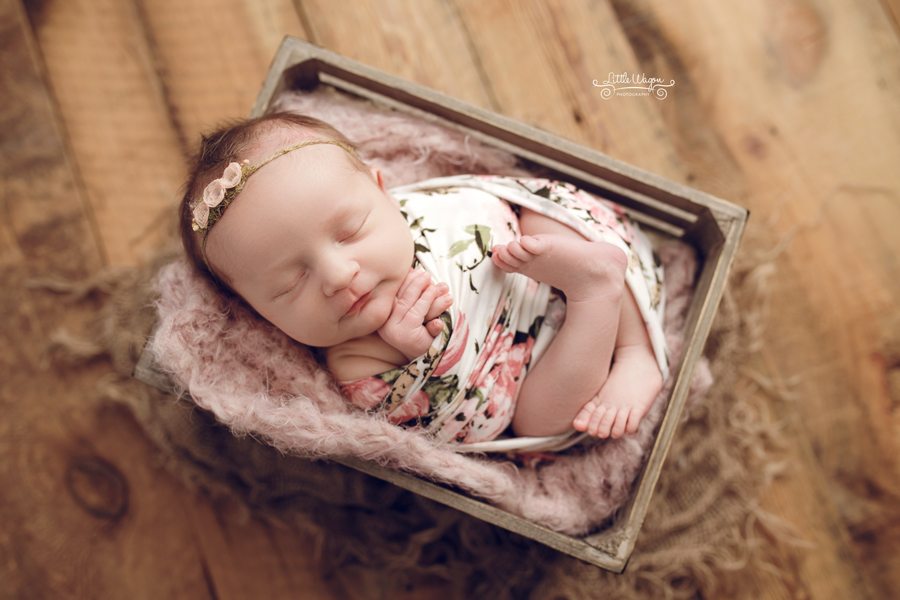 baby in a bucket, newborn photography ottawa