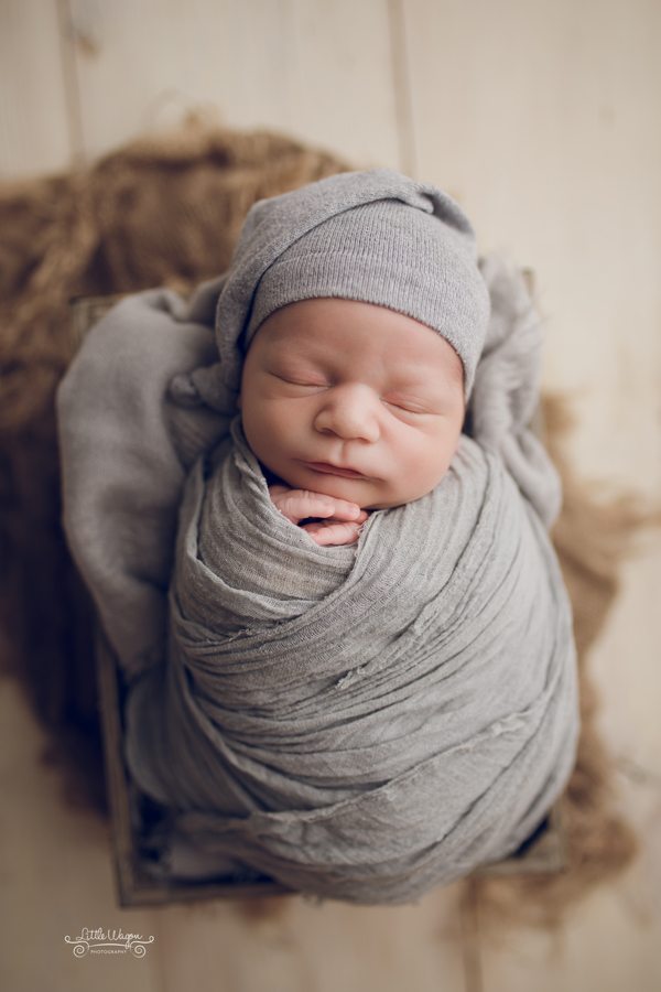 newborn wrapped, ottawa newborn photographer