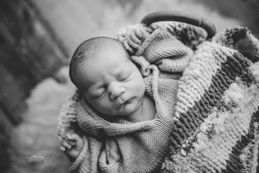 baby in a basket, newborn photographer